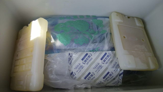 クーラーボックスの保冷力を考える 管釣りで使うぐらいなら安くても十分な理由 保冷剤はどうするの ポテポテの月イチ管釣り 毎日子育て